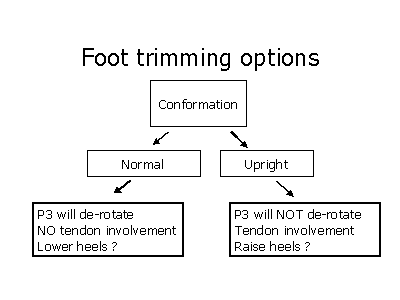 Fig 8: Foot Trimming Options