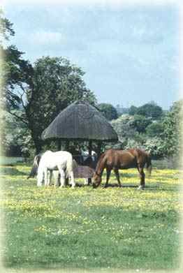 Home Farm (Circa 1976) Milton Ernest, Bedfordshire