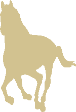 horse logo