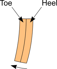 Fig 2: Chronic laminitis hoof section growth