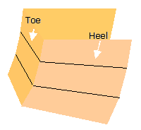 Fig 4: Chronic laminitic hoof capsule growth